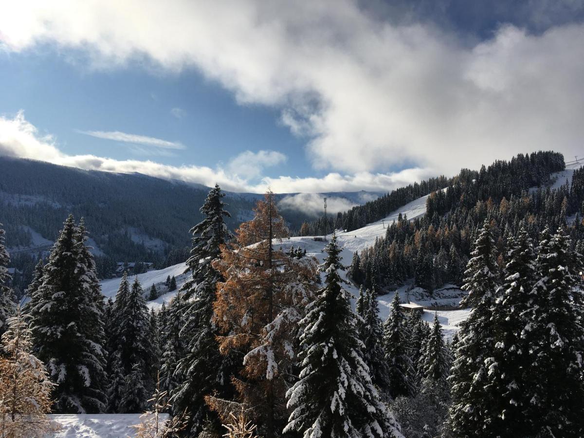 Holzknechthuette Villa Lachtal Kültér fotó